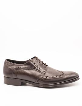 Zapato Donatelli 9534 TESTA de hombre