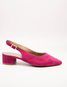 Zapato Tamaris 29500-20 - 513 Fuxia de Mujer