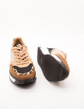 Deportivo Popa Almanzor Animal Negro-Coccinela de Mujer