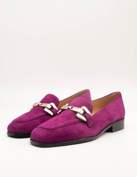 Zapato Dansi 5741 Ante Velvet de Mujer