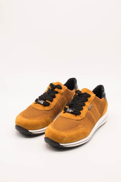 Gallery a00386 4