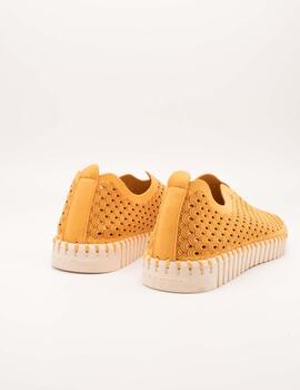 Deportivo Ilse Jacobsen TULIP3275-849 Golden Nugge
