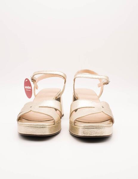 Gallery a07480 tkjnzutl