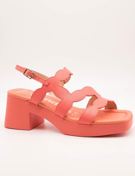 Gallery a07496 oaxcoewv