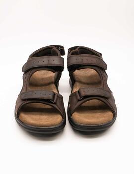 Sandalia Panama Jack Salton Basics C1 Marrón de Hombre